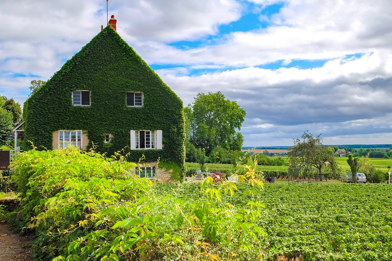 Beaune en Bourgogne : Hospices, caves et balades dans les vignes