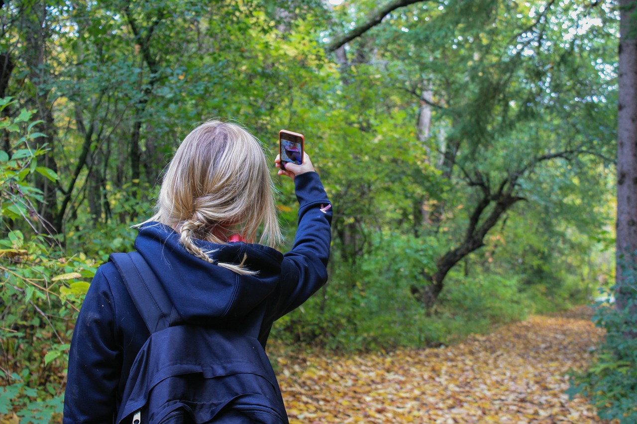 Applications naturalistes pour la randonnée : identifier plantes, oiseaux et étoiles