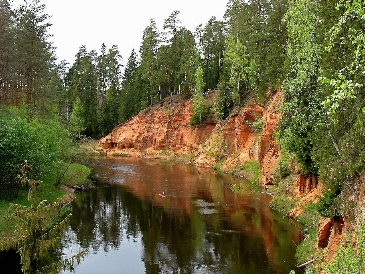 Randonnée en Lettonie : parcs nationaux de Ķemeri et de la Gauja