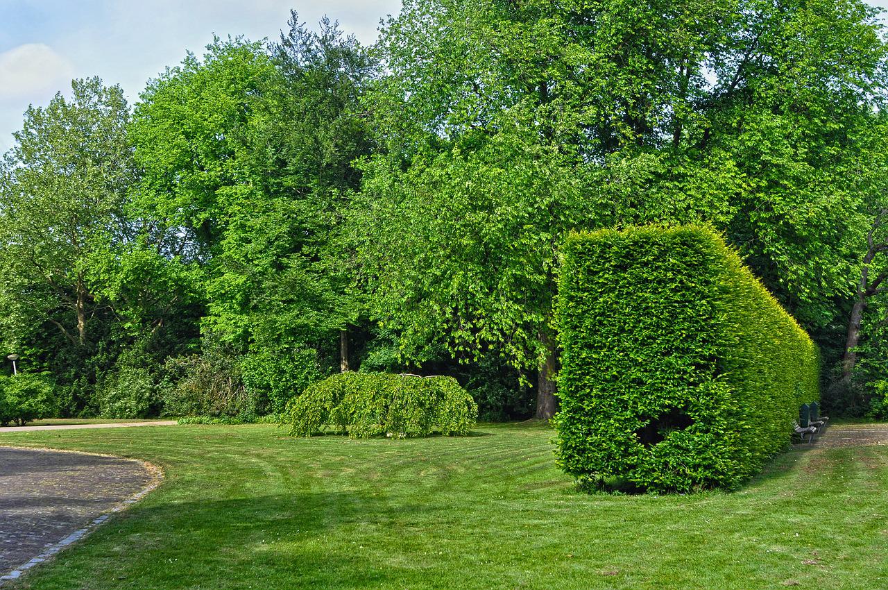 Espaces verts de Louvain (Leuven) : parcs, abbayes et balades nature