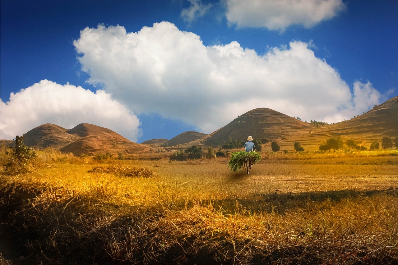 Randonnée à Madagascar : les meilleurs parcs, de l’Andringitra à l’Isalo