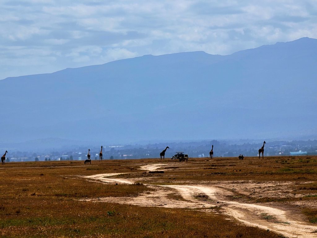 Sentier de randonnée à travers une forêt tropicale verdoyante, comme les forêts d’Oloolua et de Karura près de Nairobi au Kenya