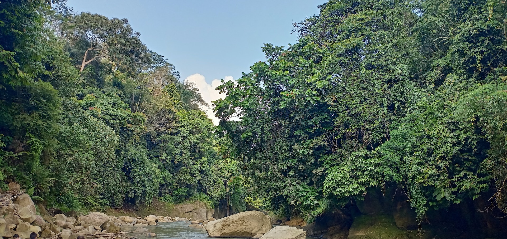 Trek dans la jungle de Sumatra : voir les orangs-outans à Bukit Lawang