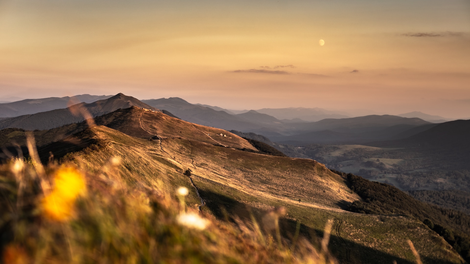 Randonnée dans les Bieszczady (Pologne) : Tarnica, połoniny et conseils