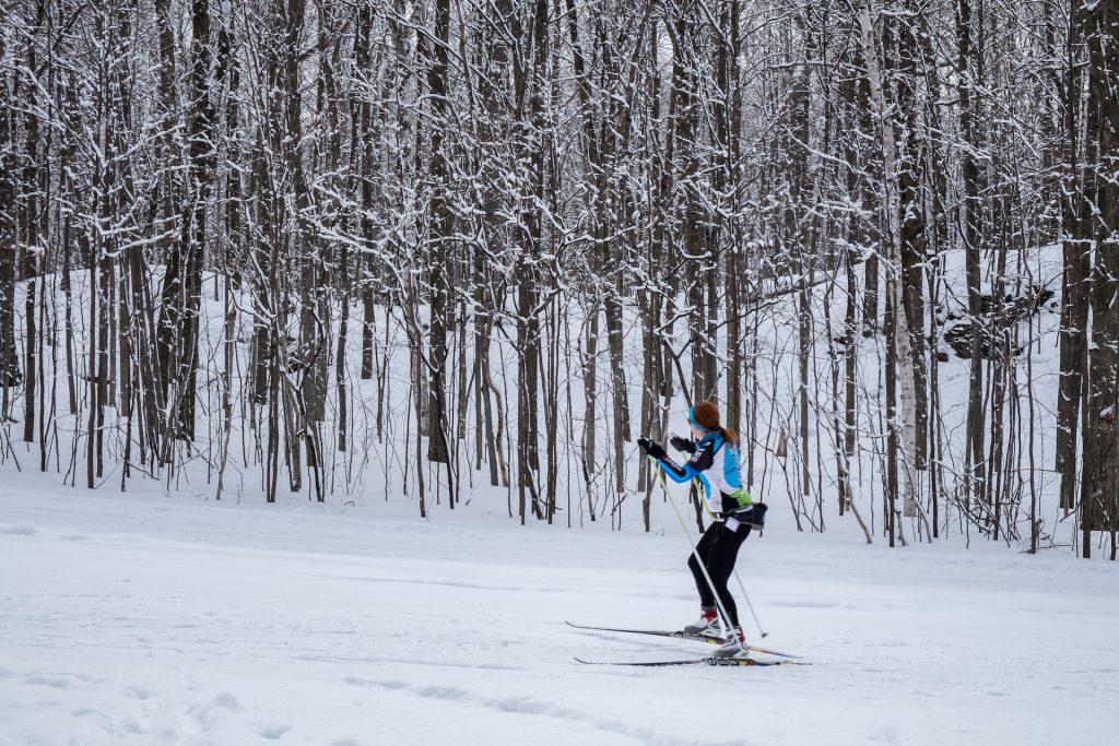 Skieurs de fond sur une piste damée en forêt enneigée, en moyenne montagne