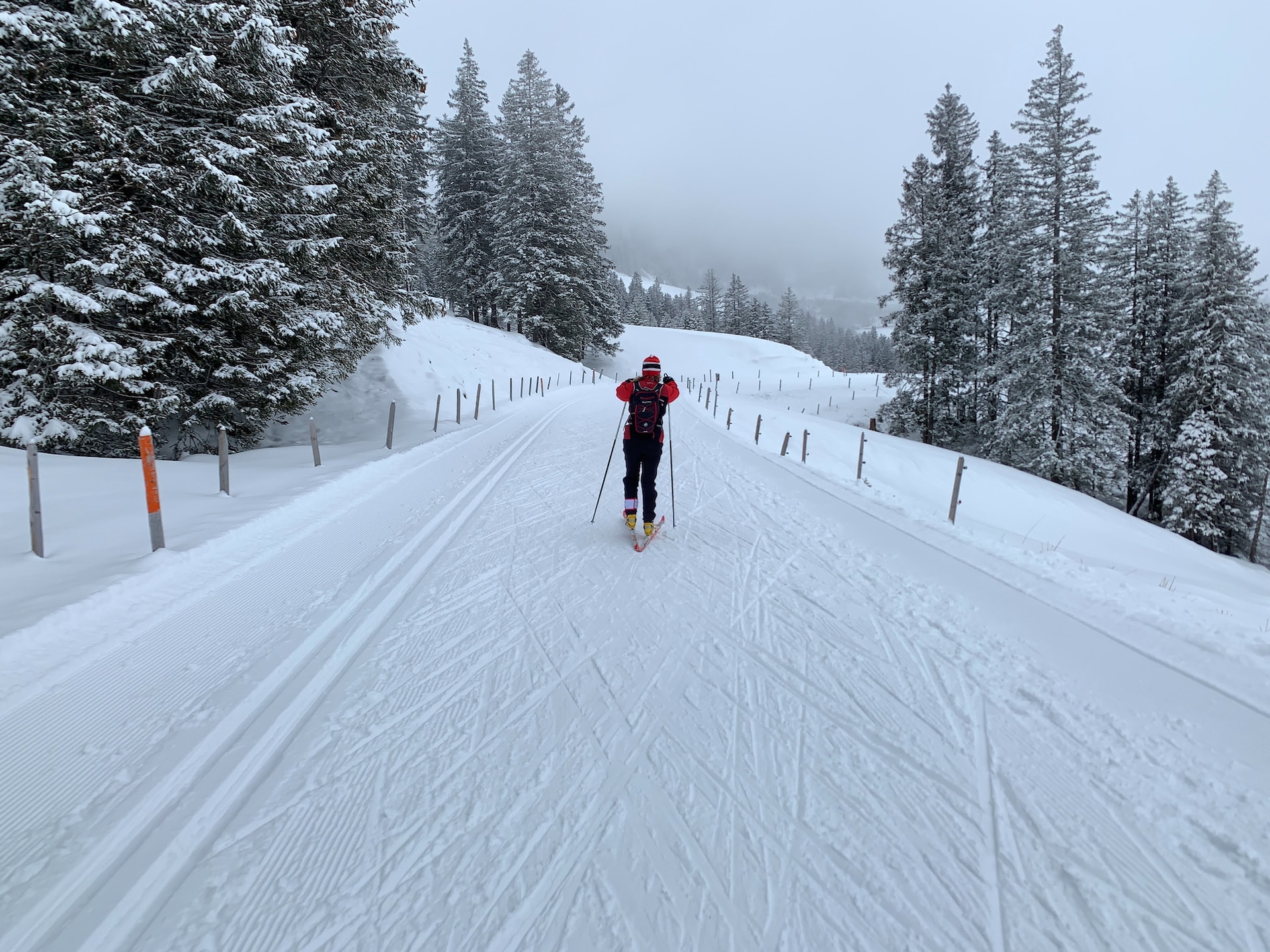 Ski de fond en Auvergne : les domaines nordiques du Sancy au Mézenc