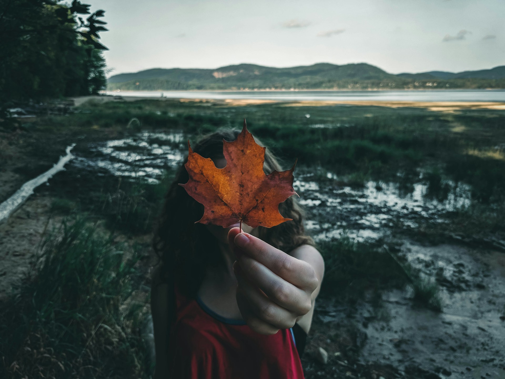 Randonnée au Québec au printemps : 5 sentiers et conseils pour la saison