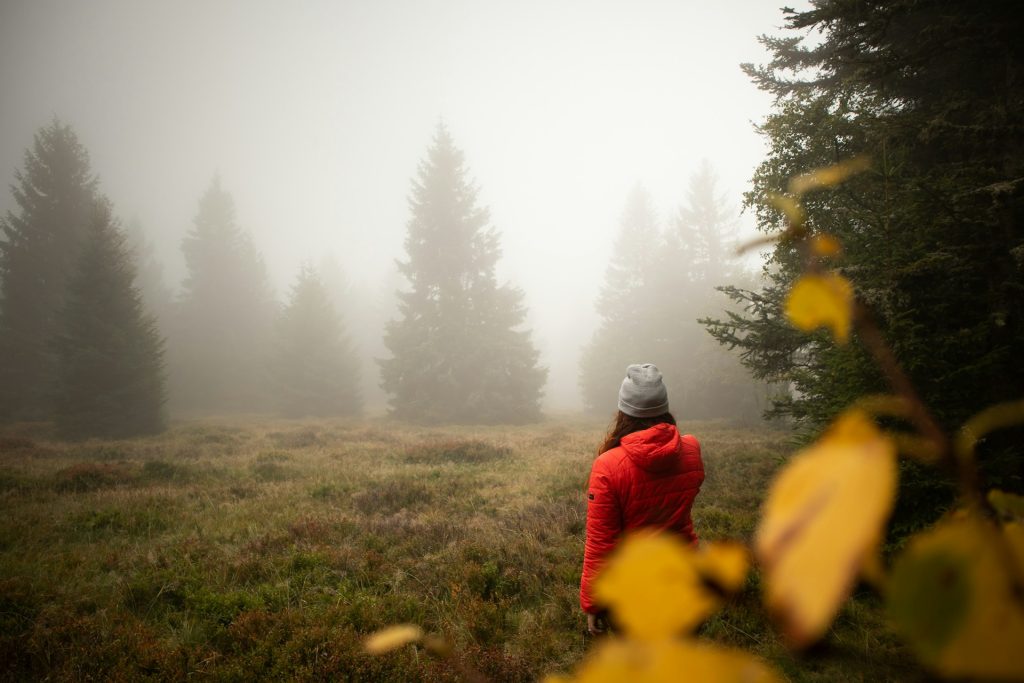 Sentier de randonnée en forêt au bord d’un lac dans le massif des Vosges