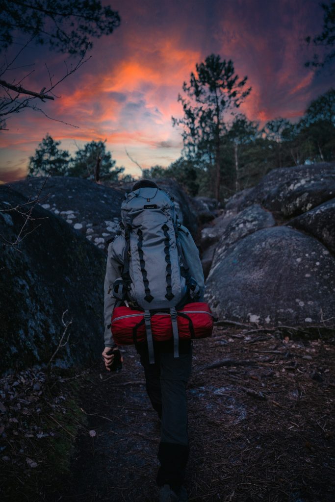 Sentier sous les arbres dans la forêt de Fontainebleau, en Seine-et-Marne