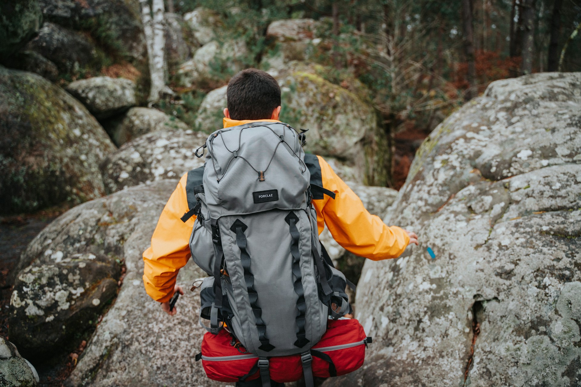 Randonnée en forêt de Fontainebleau : les plus beaux sentiers