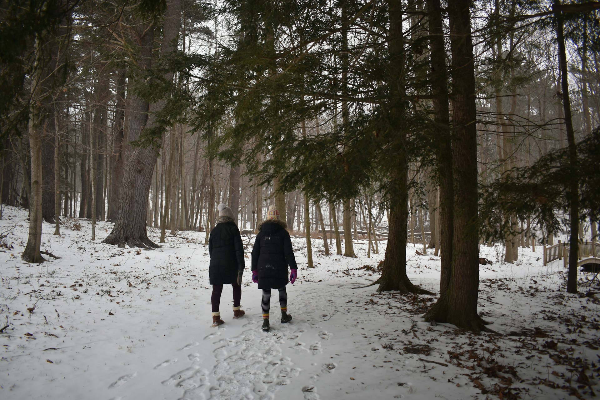 Randonnées d’hiver dans le Tarn-et-Garonne : circuits et conseils