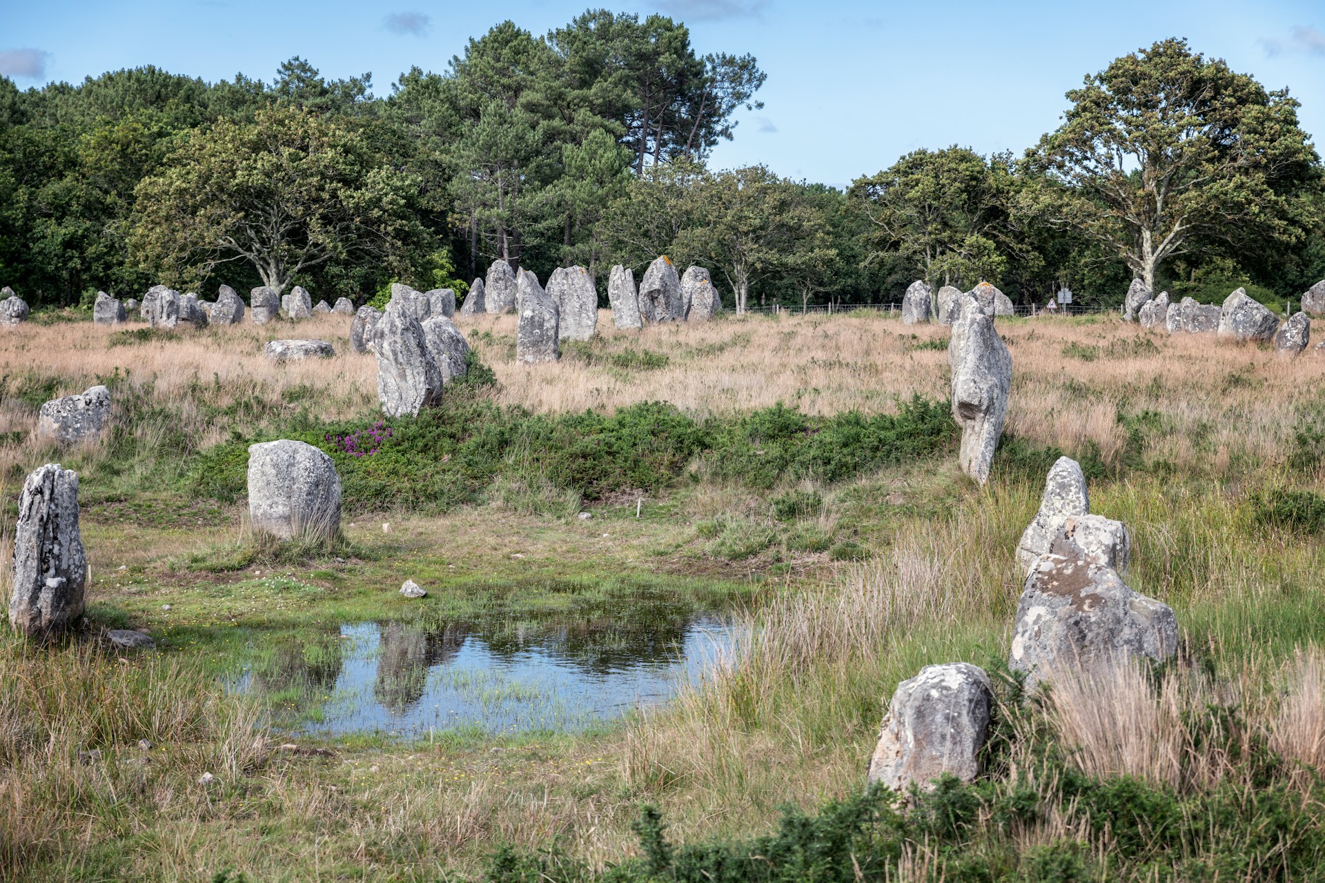Randonnées à Carnac : alignements de menhirs, sentier côtier et marais