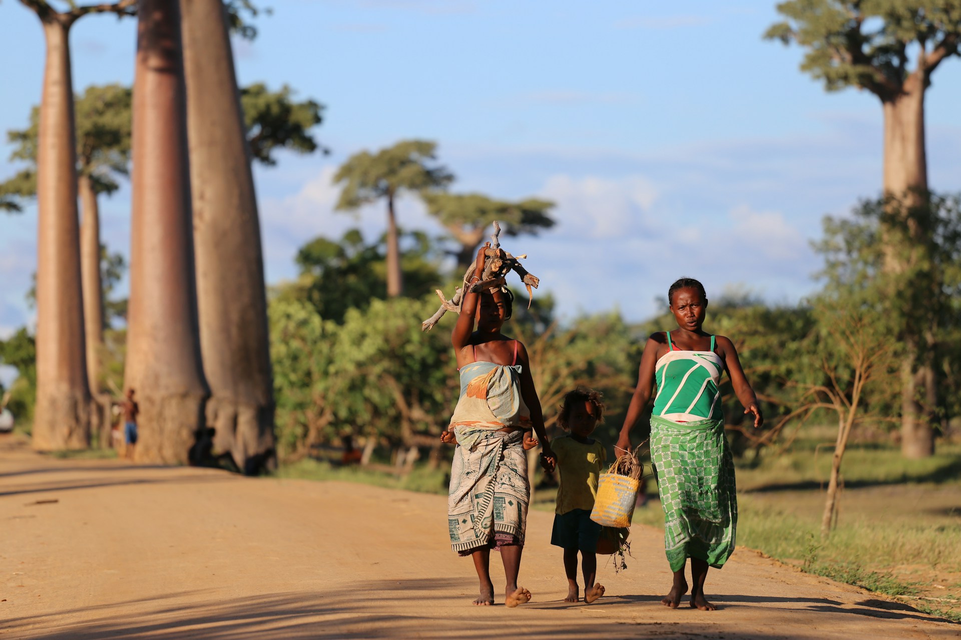 Les plus belles randonnées de Madagascar : Isalo, Tsingy, Andringitra et côte nord