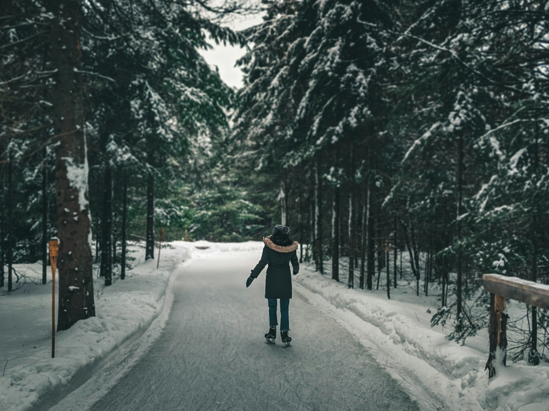 Randonnée près de Québec : 6 sentiers incontournables de la région