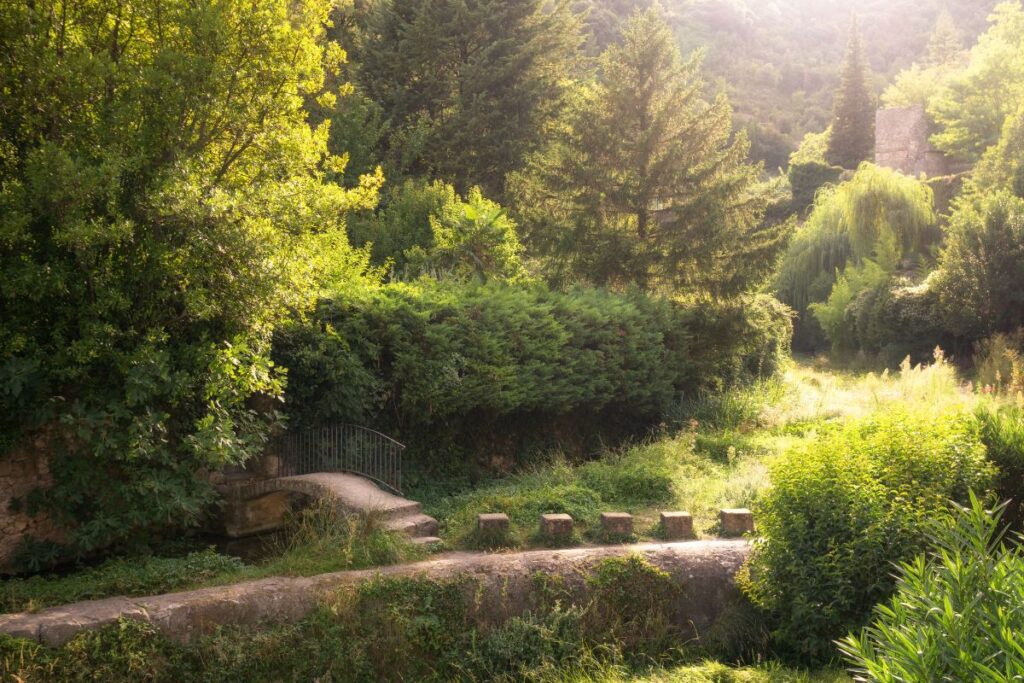 Plateau de l’Aubrac et chemin empierré au départ du chemin de Saint-Guilhem