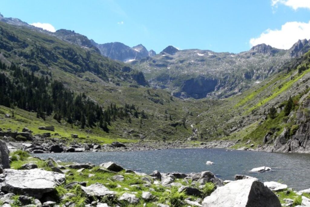 Forêt de hêtres et de sapins sur le sentier entre le lac d’Estaing et le plateau de la Cétira