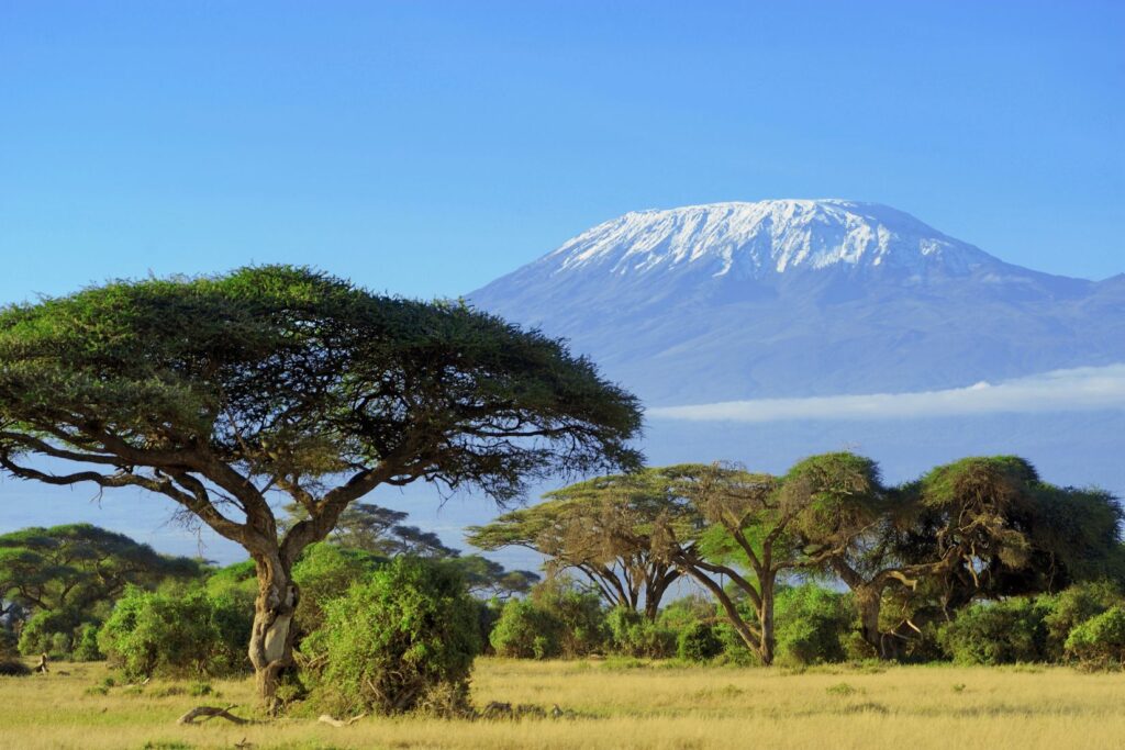 Équipement de trek et sac à dos prêts pour l’ascension du Kilimandjaro