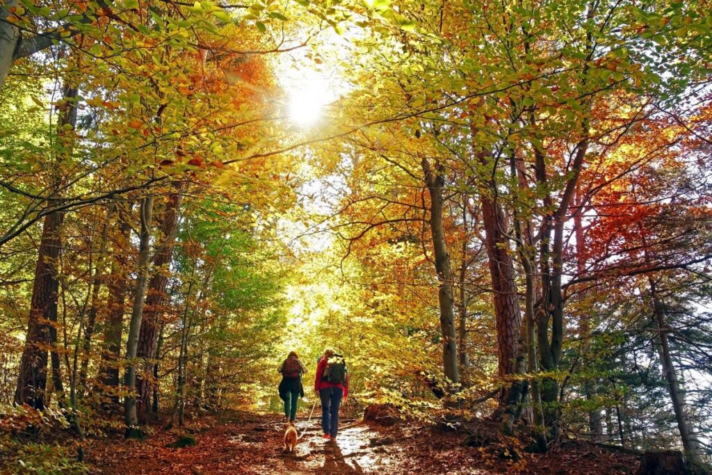 Randonneur habillé en plusieurs couches techniques sur un sentier de montagne en automne