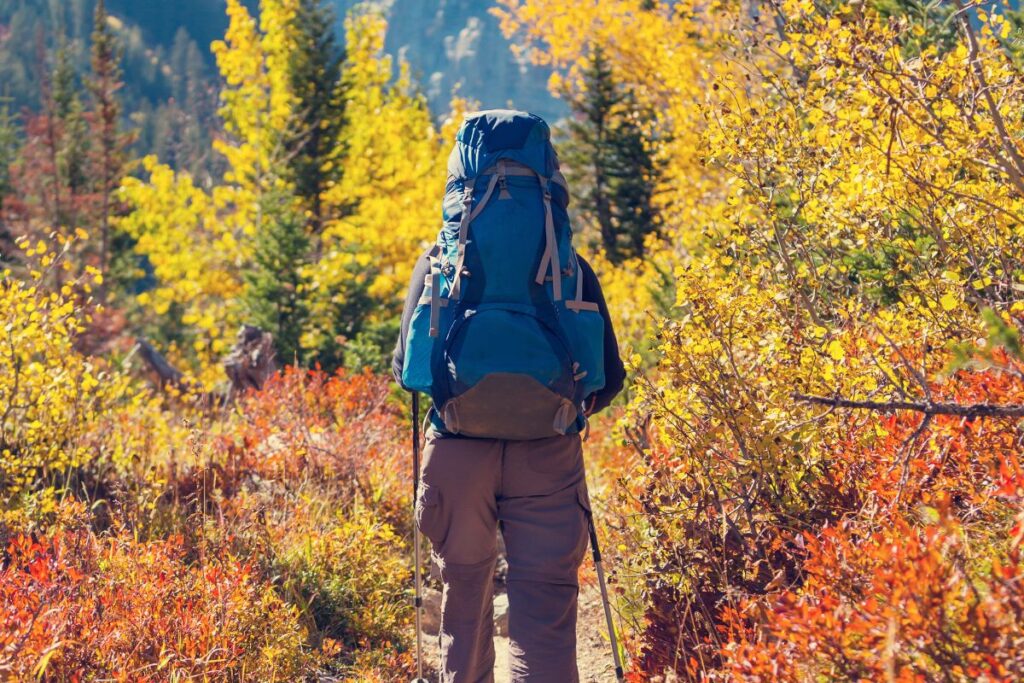Bonnet, gants et chaussettes de randonnée posés sur un rocher en montagne à l’automne