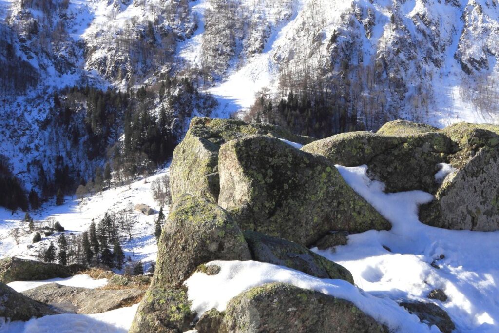 Crêtes arrondies et prairies d’altitude du massif des Vosges au printemps