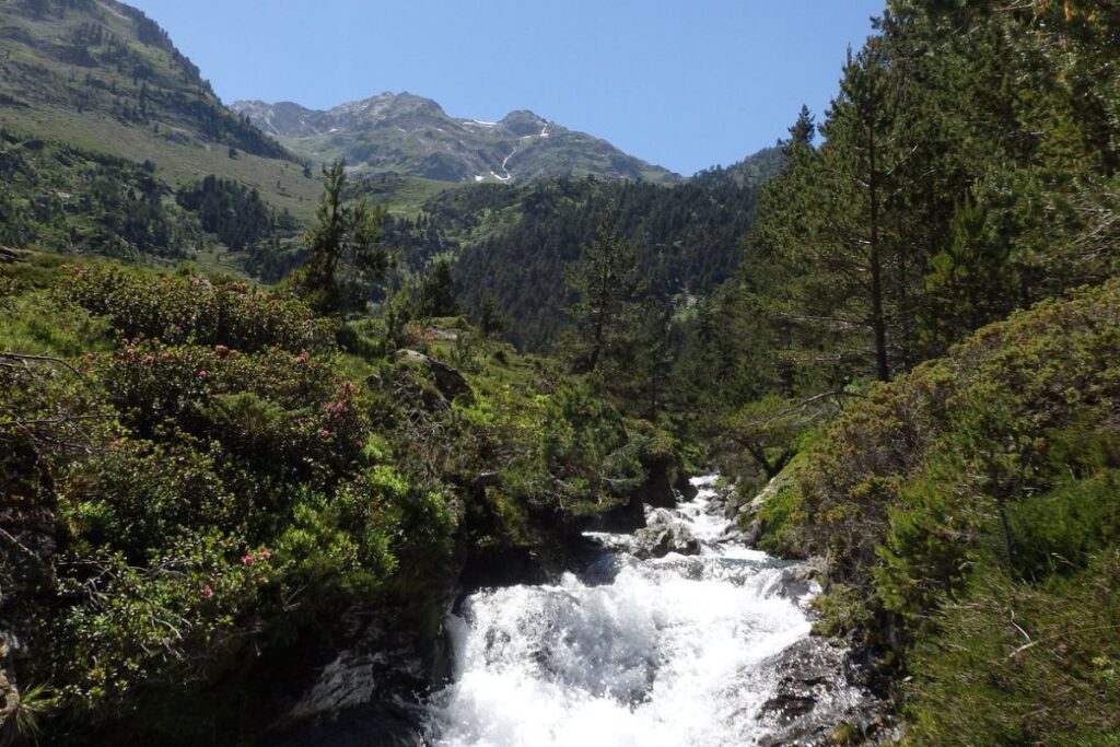 Prairies et forêts de sapins dans la vallée du Rioumajou, Hautes-Pyrénées