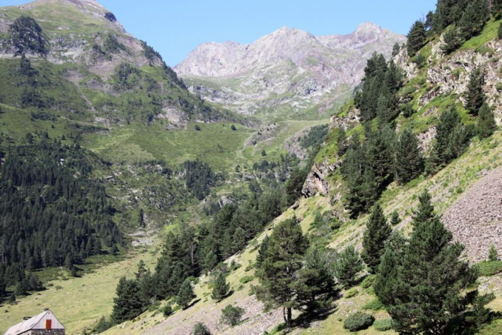 Piste de randonnée dans la vallée ouverte du Rioumajou, entre prairies et torrent