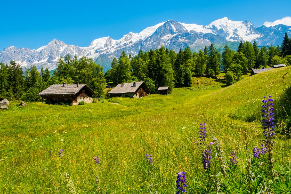 Tour du Mont-Blanc en 5 jours : étapes, distances, refuges et conseils