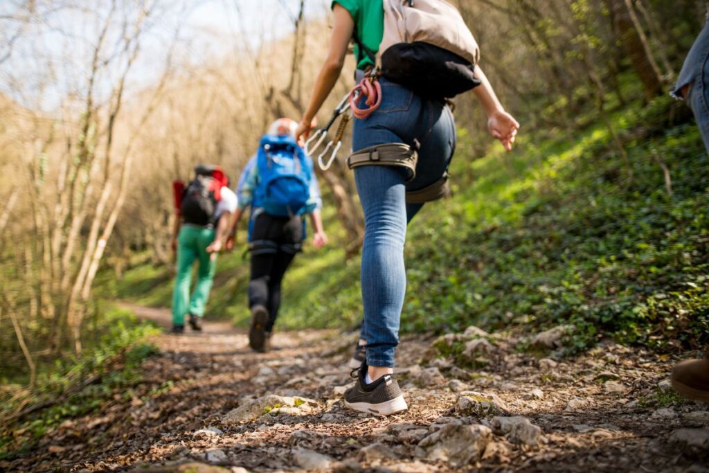 Randonneurs marchant sur un sentier de montagne verdoyant