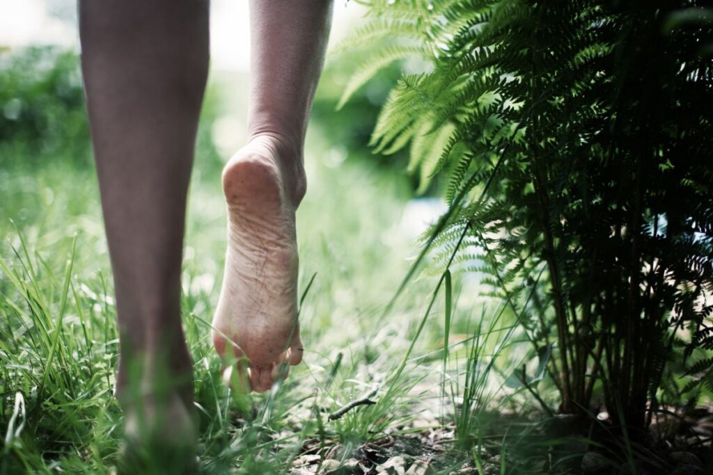 Pieds nus d’un marcheur sur un chemin de terre et d’herbe en forêt