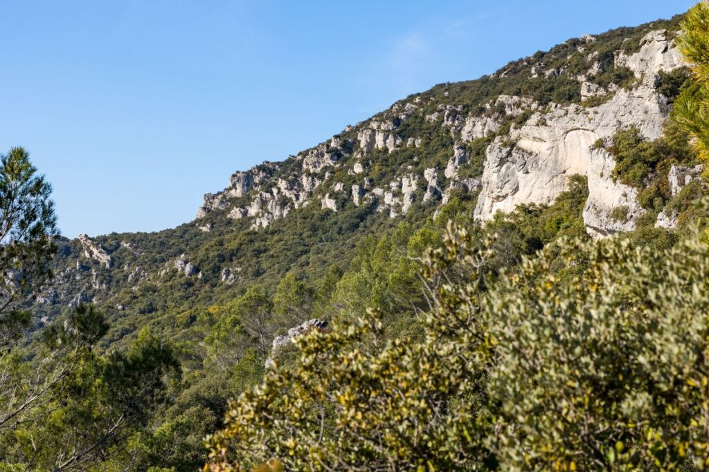 Rochers dolomitiques aux formes sculptées dans le cirque de Mourèze