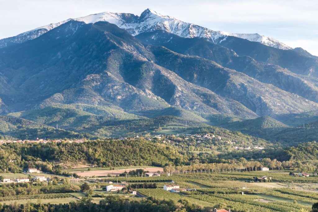 Le pic du Canigou dans les Pyrénées-Orientales vu depuis ses contreforts