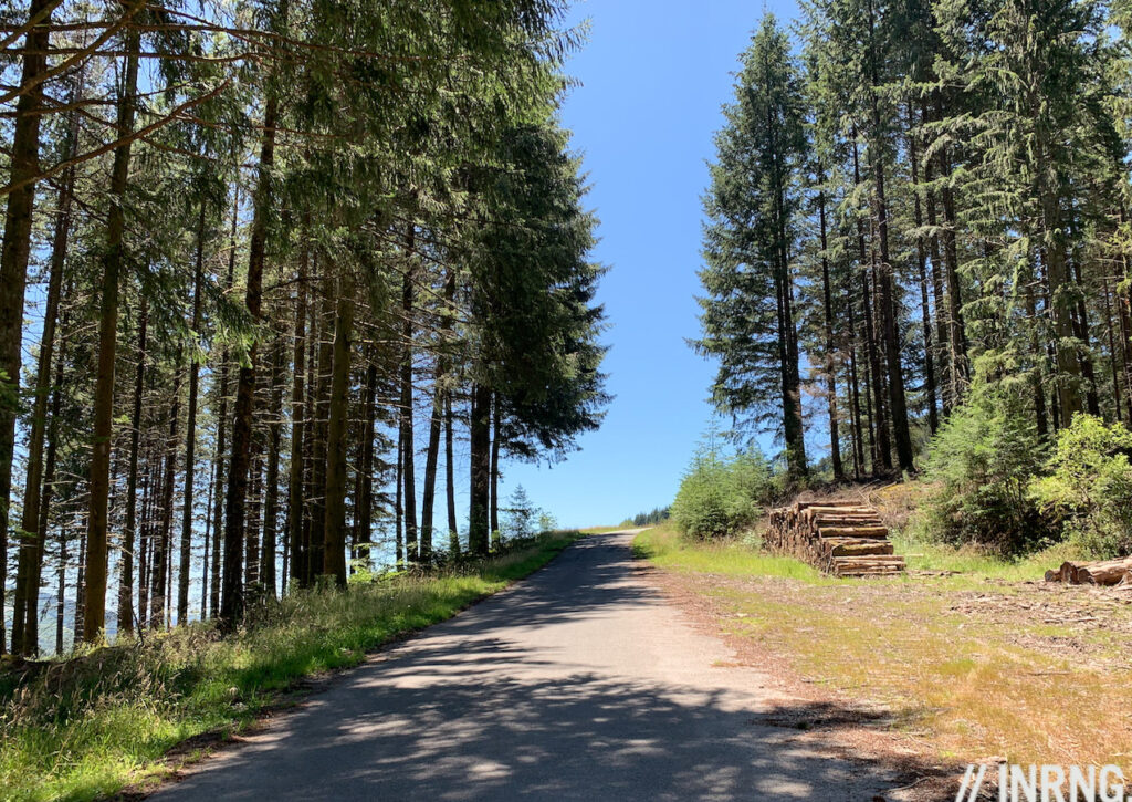 Landes et forêts autour du Suc au May, dans le parc naturel régional de Millevaches en Limousin