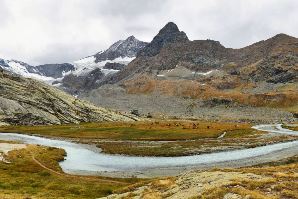 Glaciers et sommets du cirque des Évettes au-dessus de Bonneval-sur-Arc