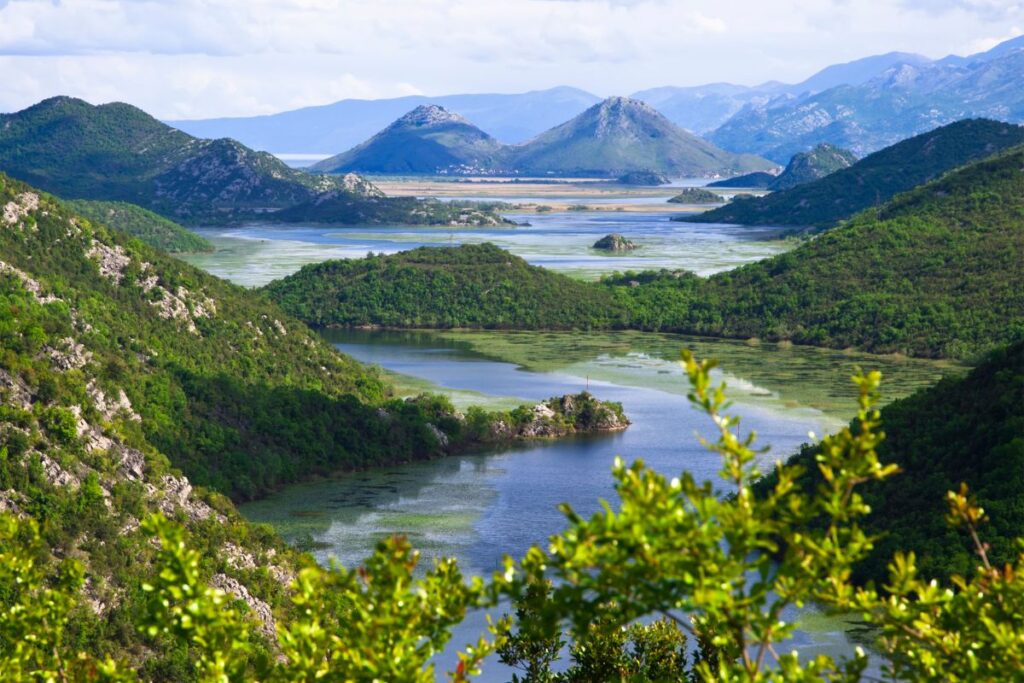 Lac de Skadar parsemé d’îlots et de roselières, à la frontière du Monténégro et de l’Albanie