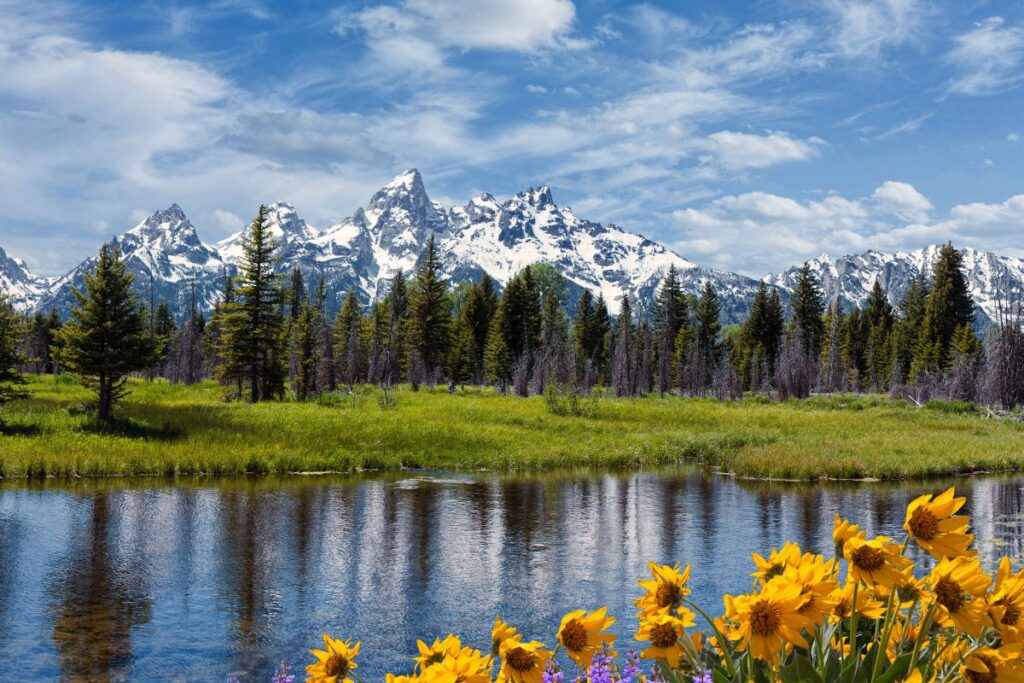 Vallée alpine en été avec prairies et sommets, cadre de camping en famille dans les Alpes