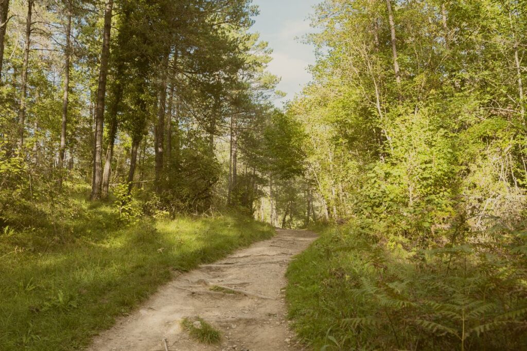 Rivière Aubetin serpentant entre prairies et bois en Seine-et-Marne