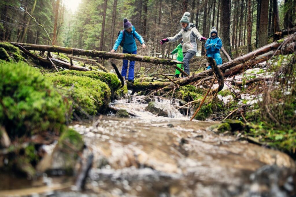 Chemin entre bois et champs dans la vallée de la Juine en Essonne