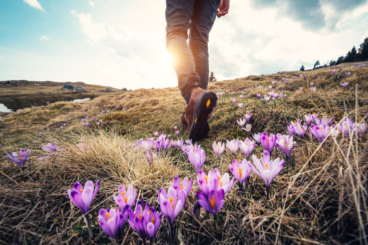Randonnées pour observer la faune au printemps : 7 sites en France