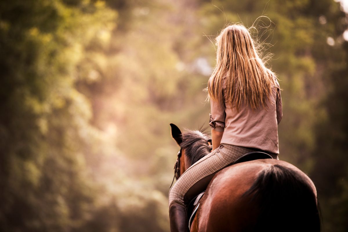 Randonnée à cheval dans le Sud de la France : 7 itinéraires équestres
