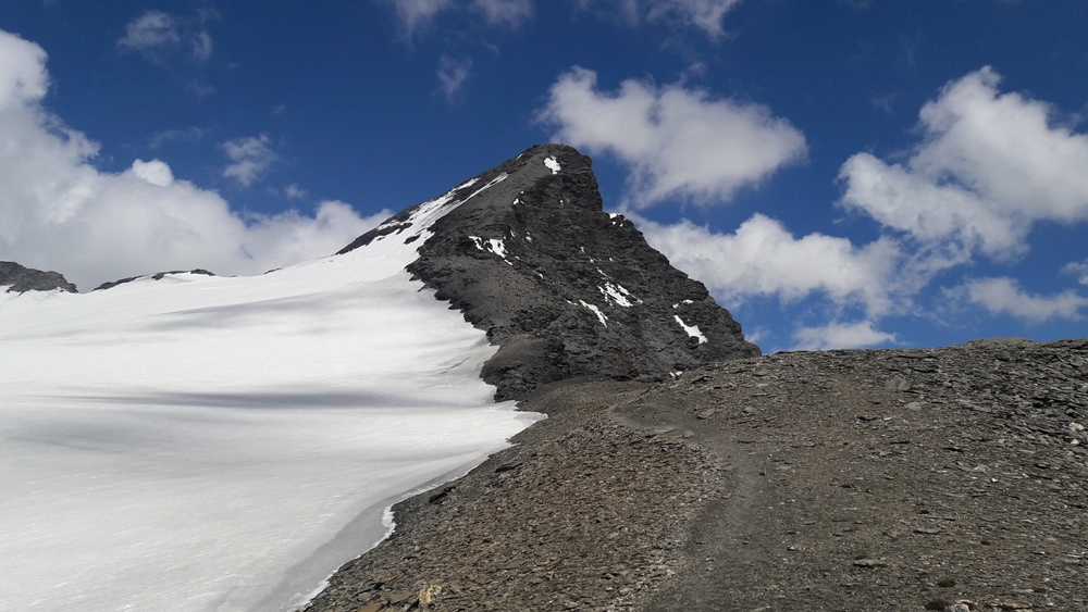 Sommet rocheux de l’Aiguille de la Grande Sassière au-dessus des alpages de la réserve naturelle, à Tignes