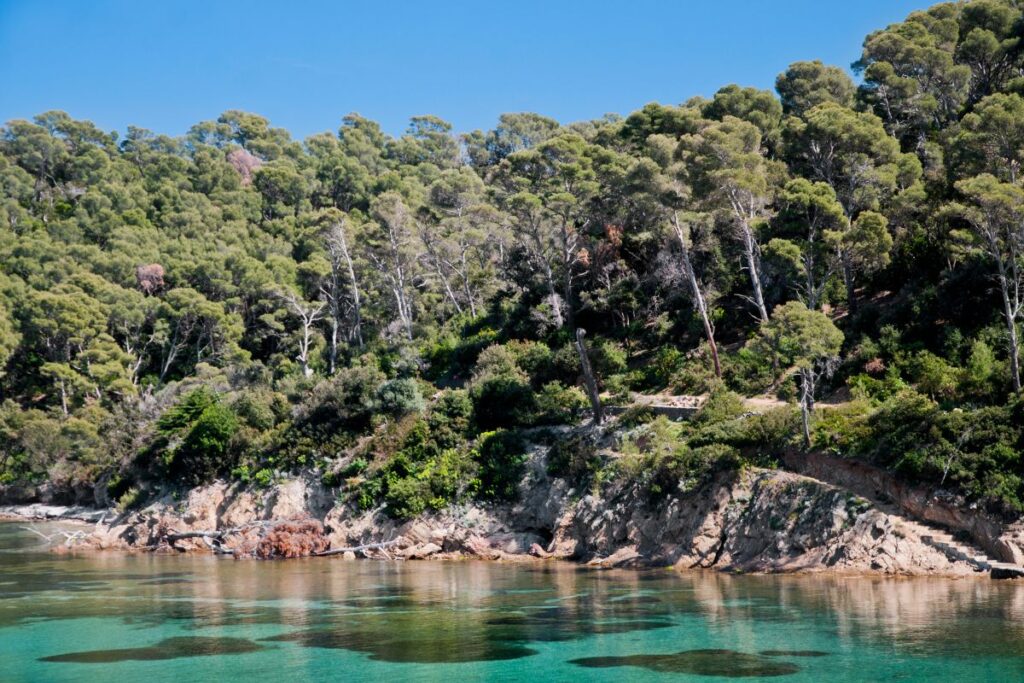 Port-Cros, collines boisées et crique aux eaux claires dans les îles d’Hyères