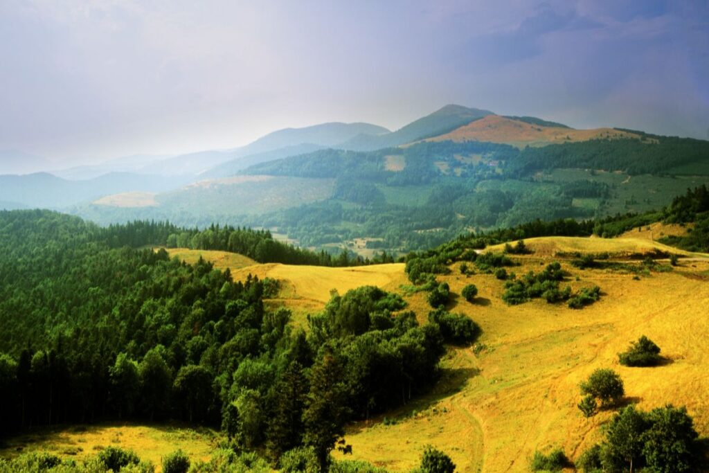 Crêtes et chaumes des Vosges au-dessus des forêts