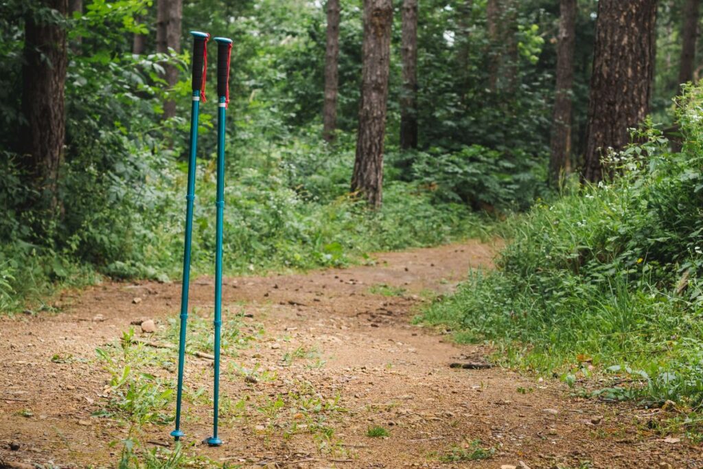 Randonneur senior tenant une paire de bâtons télescopiques sur un sentier de montagne