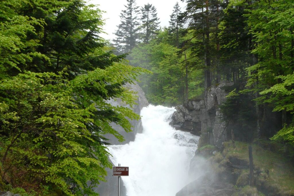 Gave de Jéret dévalant les rochers en forêt entre La Raillère et le Pont d’Espagne