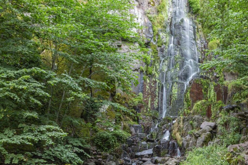 Chemin forestier menant à la cascade du Nideck dans le massif des Vosges, près d’Oberhaslach