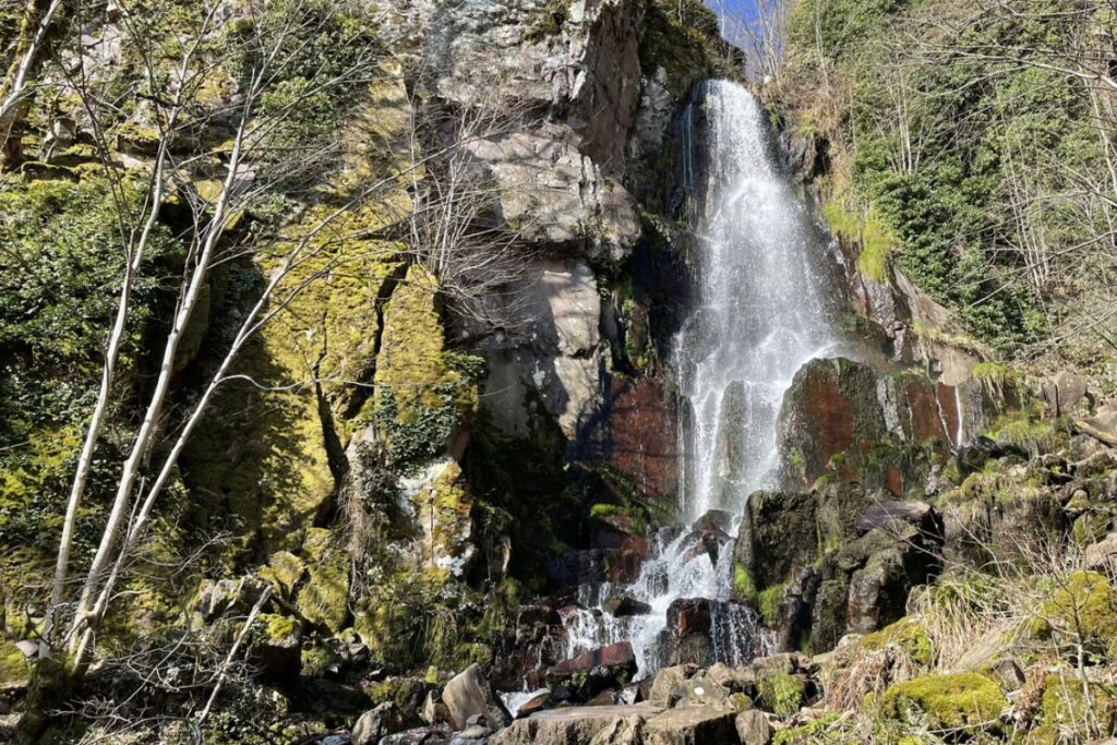 Sentier balisé du Club vosgien dans la forêt autour de la cascade du Nideck