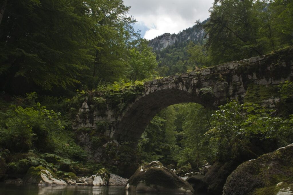 Parois calcaires boisées des gorges du Guiers Mort dans le massif de la Chartreuse