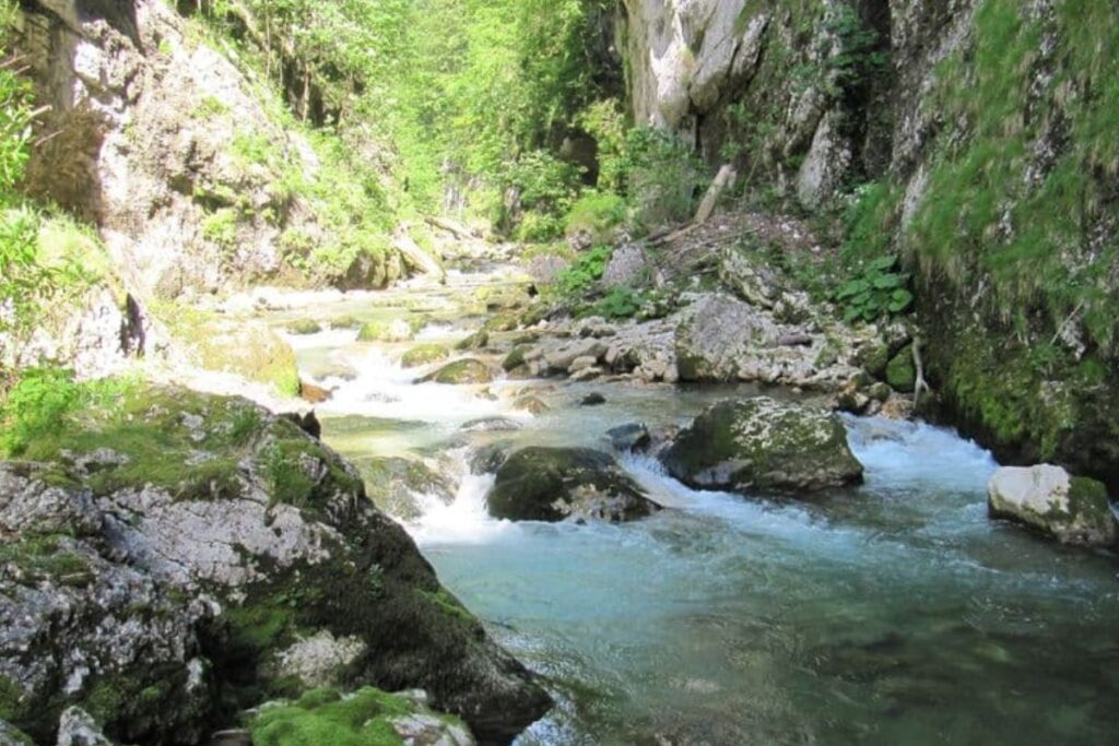 Sentier en sous-bois longeant le torrent du Guiers Mort entre les rochers
