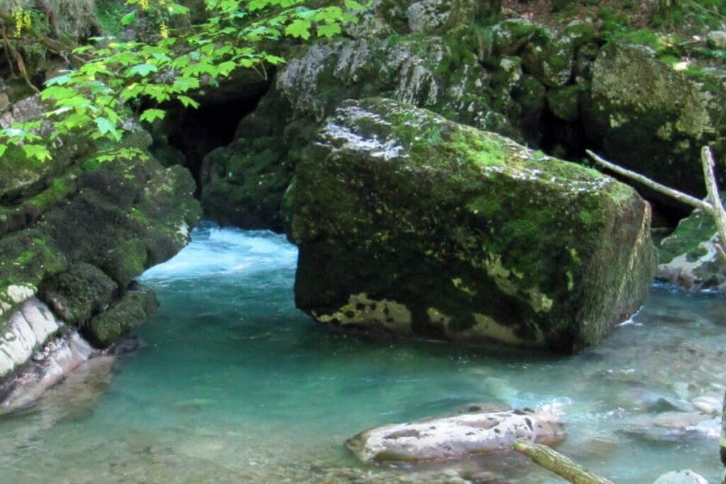 Pont de pierre ancien au-dessus du torrent dans les gorges du Guiers Mort