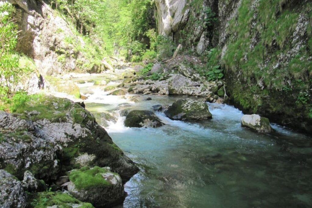 Torrent du Guiers Mort aux eaux claires dans un décor forestier d’automne en Chartreuse